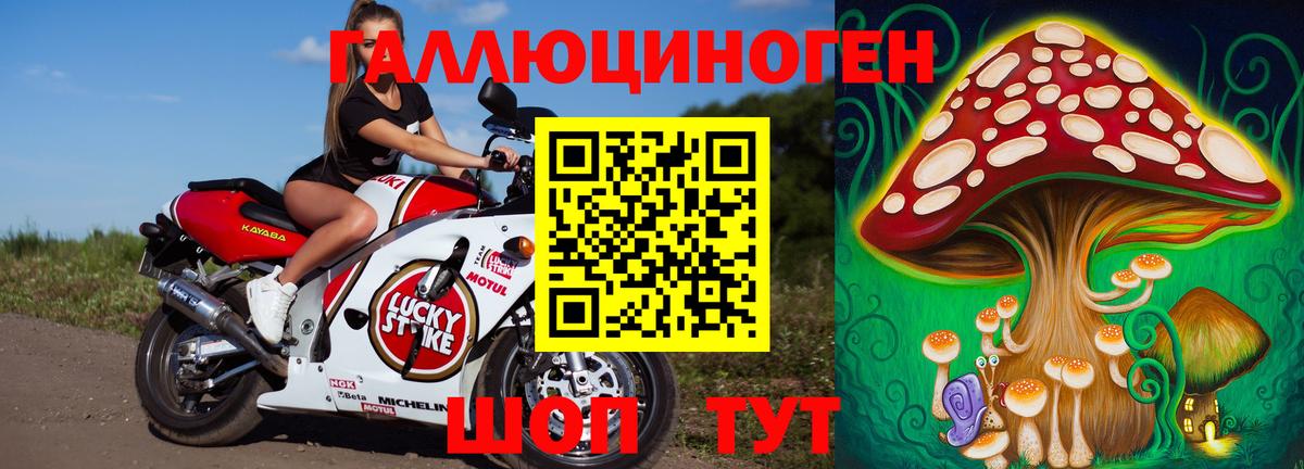 Златоуст  Псилоцибиновые грибы прущие грибы  Галлюциногенные грибы MAGIC MUSHROOMS  Вход с VPN 